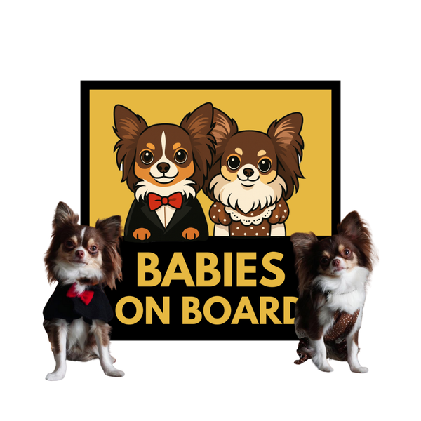 Personalised Pet Car Magnet and Sticker — Custom 'Pet on Board' Sign — 2 pets | Chihuahua